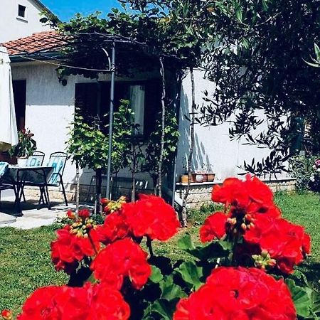 Studio Benassi Porec Esterno foto